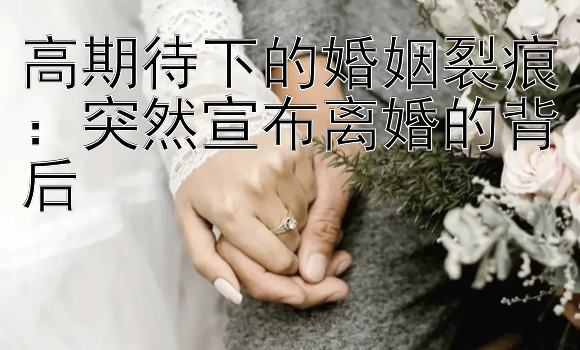 高期待下的婚姻裂痕：突然宣布离婚的背后