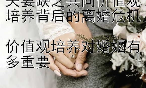 夫妻缺乏共同价值观培养背后的离婚危机  
价值观培养对婚姻有多重要